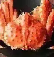 タカラガニの画像
