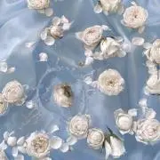 ビンの画像