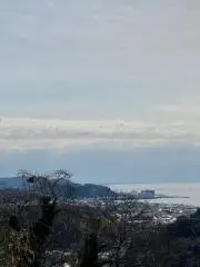 amaouの画像