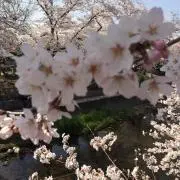 あつ56