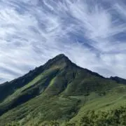 billableの画像