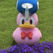 どな★プロフ必読の画像