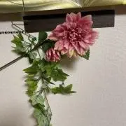 ままみ 梱包資材再活推進中!の画像