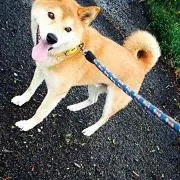 ソラ