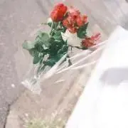 アサ