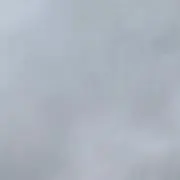 りんごの画像