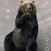 タツノオトシゴ