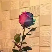 A★プロフィール必読★の画像