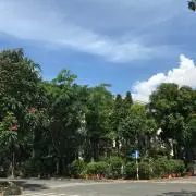 くりおねの画像