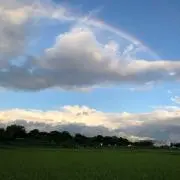 ☆M☆の画像