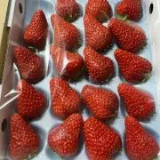 Gooditigo27の画像