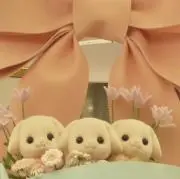 su--の画像