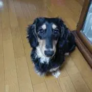 温泉野郎の画像