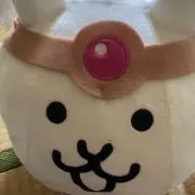 KCの画像