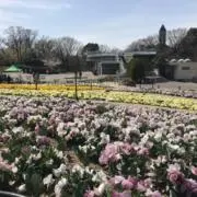 yt（プロフ読んでください）