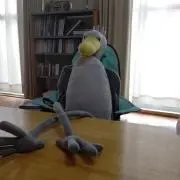 CY:購入前プロフ確認くださいの画像