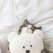 yuki