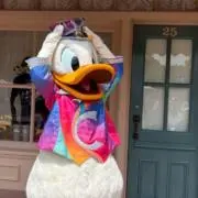 PAN⭐︎の画像
