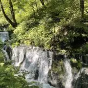 ナカノの画像
