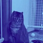 titiの画像