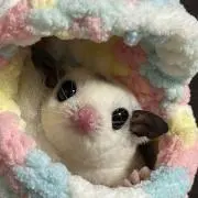 ももの画像