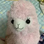 にゃまの画像