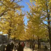 にんの画像