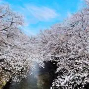 a.shopの画像