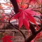 植田紘司
