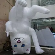 とんとんの画像