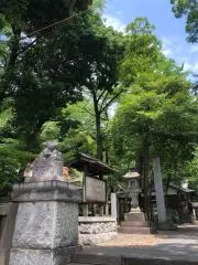 myuuの画像