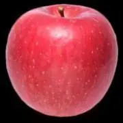 りんご 断捨離中の画像