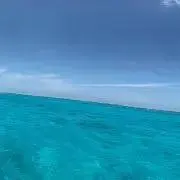 蘭(断捨離中)
