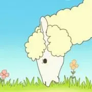 こんこんの画像