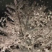天地人