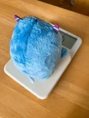 ぷりんの画像