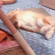 k a n a ♡の画像