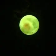 断捨離中の画像