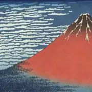 afropan555の画像