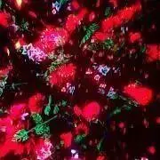 なっつん