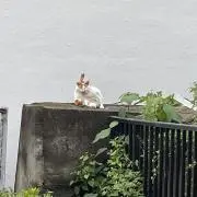 みや3