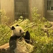 hutteの画像