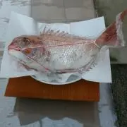 priusの画像