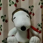 ⭐いちご⭐