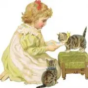 nanoの画像