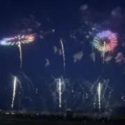 ピー助