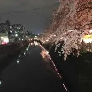 けん
