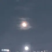 ささの画像