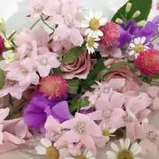 りりーの画像