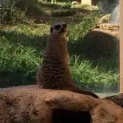 asaminの画像